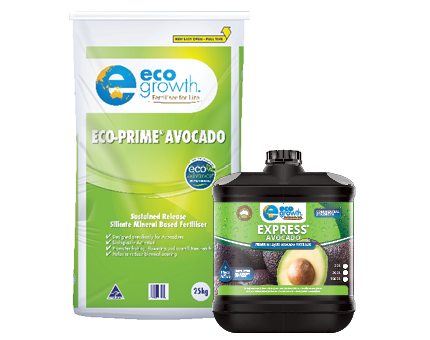 Eco-Prime Avocado & Express Avocado