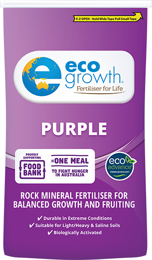 Eco Prime Purple – trueblueturf