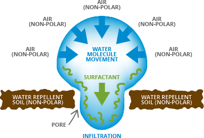 soil wetting agent soil surfactant infiltration through soil pore infographic